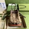 Ophidia small GG bucket bag