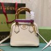 Laveszi Luxury Bags GG 480