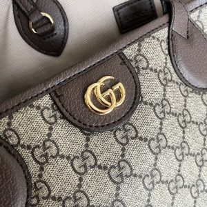 Laveszi Luxury Bags GG 580