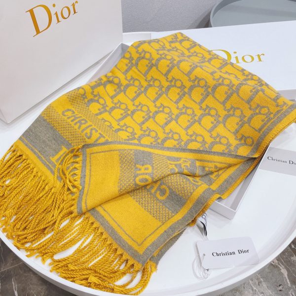 Luxury Edition Dior Scarf 005