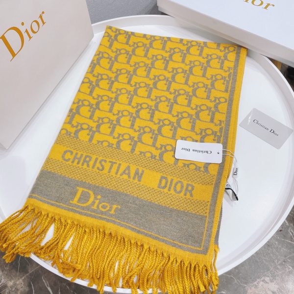 Luxury Edition Dior Scarf 005