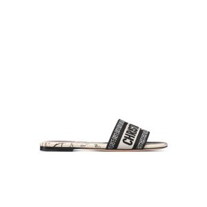 DIOR Dway Slide