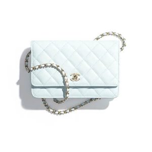 CHANEL Classic Wallet On Chain