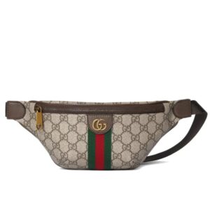 Gucci Ophidia Small Belt Bag Beige And Dark Brown 30Cm 839106 FAEOF 9745