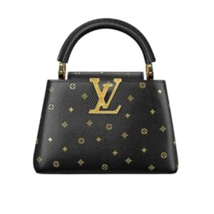 Louis Vuitton Capucines Mini Black 20Cm