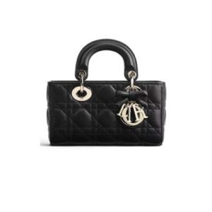 Dior Mini Lady D-Joy Bag(HIGH-END GRADE)