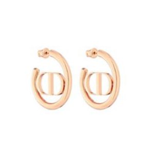 DIOR Earrings