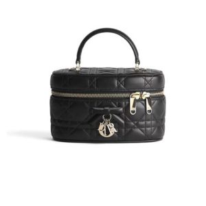 Dior Mini-Kosmetiktasche(HIGH-END GRADE)